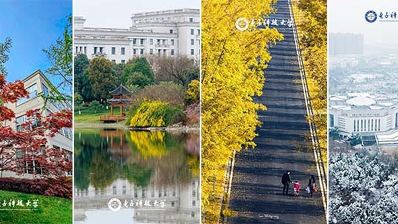 电子元件库存处理：避免误区，保障供应链稳定